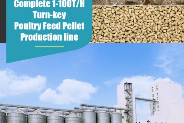 The Evolution and Leaders of the Feed Pellet Industry: From 2019 to 2023 and Beyond