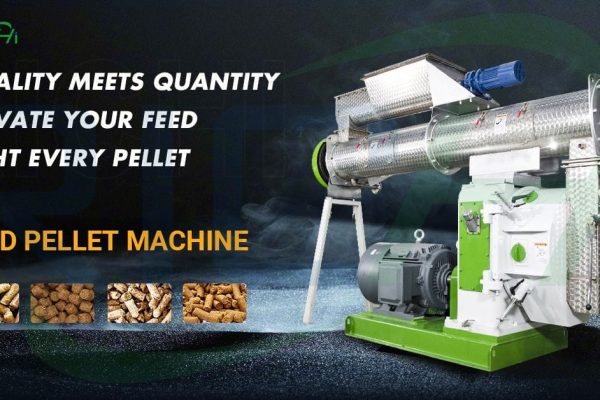 poultry feed pellet machine