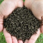 organic-fertilizer